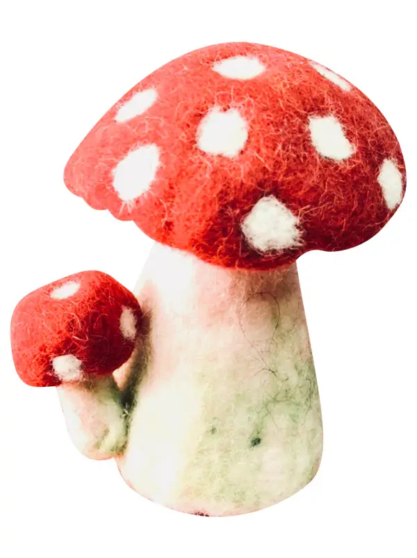 Red & White Mushroom Felt Egg Warmer