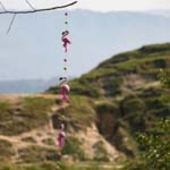 Handmade Felt Decorative Ostrich Garland