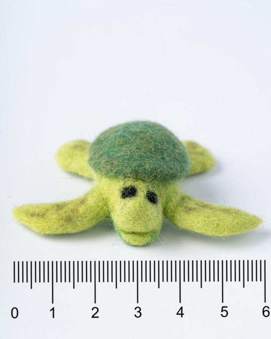Lazy turtle