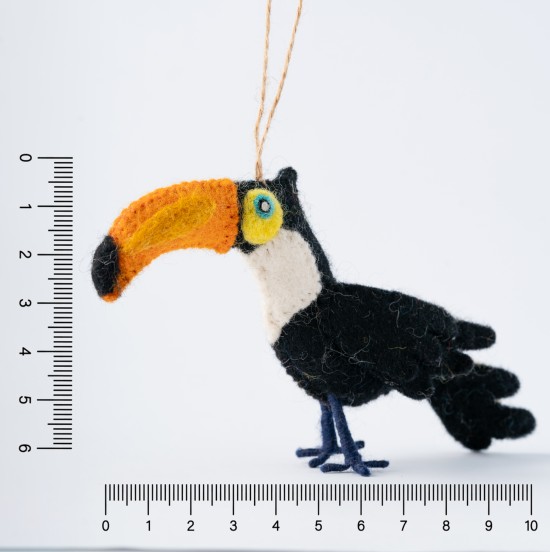 Black toucan