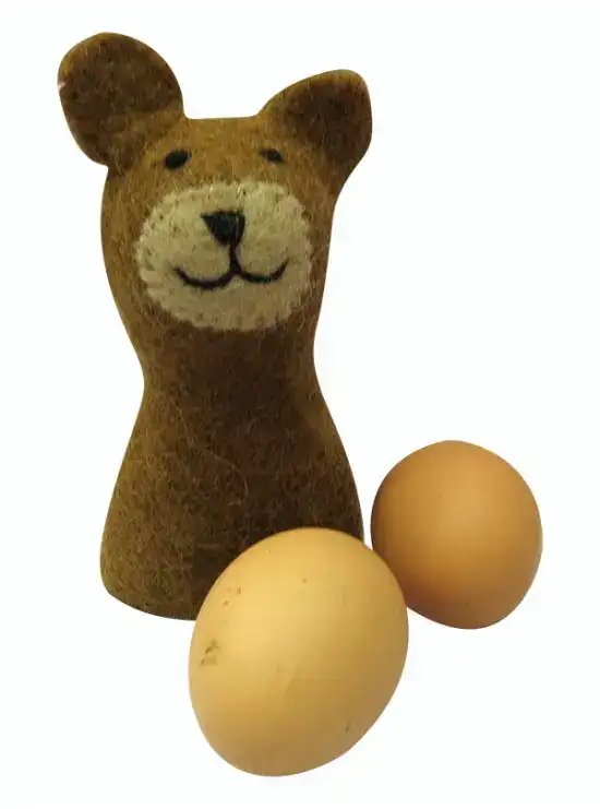 Felt Bear Designed Egg Warmer