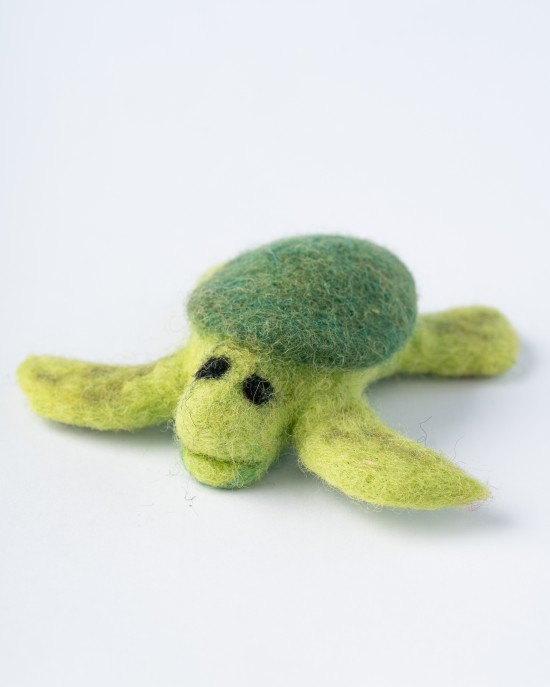 Lazy turtle
