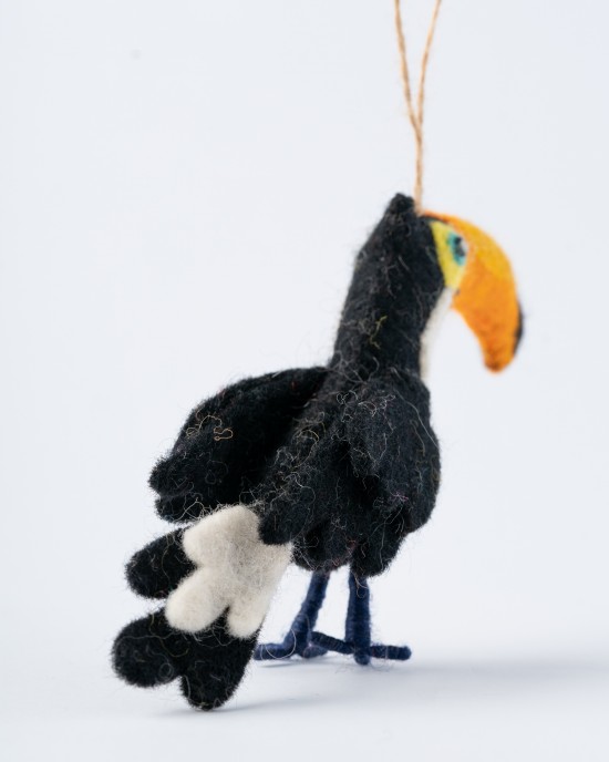 Black toucan
